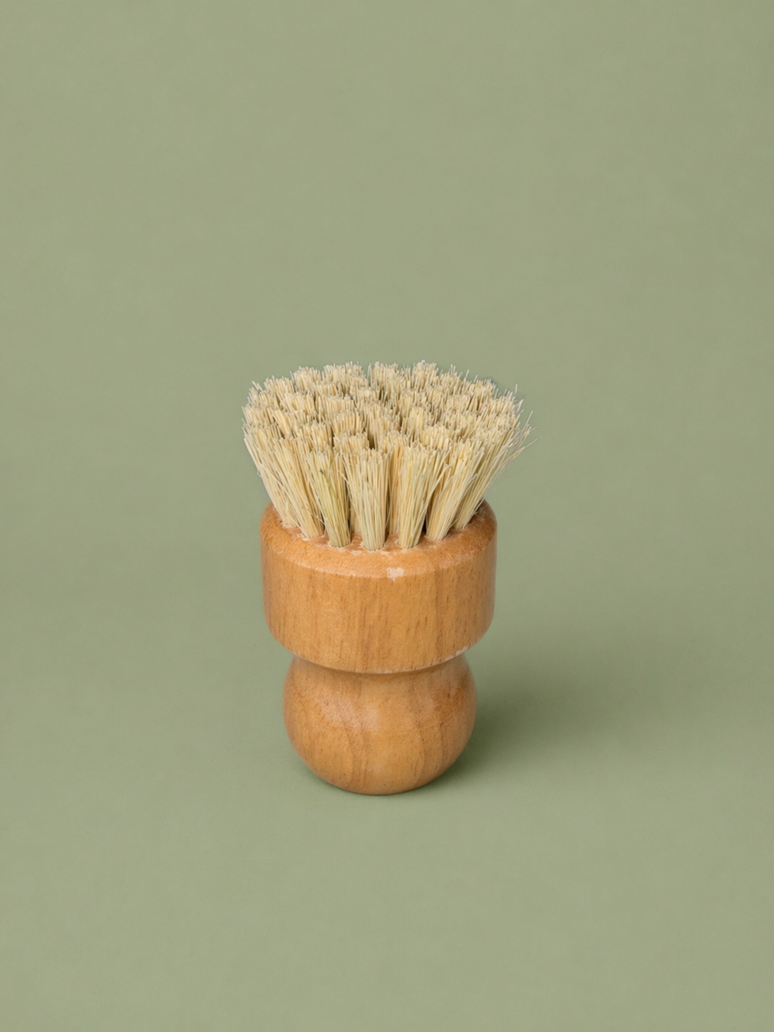 Bamboo Dish Brush